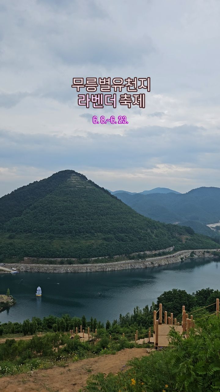 무릉별유천지 라벤더 축제
2024. 6. 8.(토)~6. 23.(일)

무릉별유천지에서 펼쳐지는 동해 라벤더 축제
보랏빛 라벤더와 알록달록한 꽃과
잔잔한 호수가 인상적인 라벤더 축제

보라색 컬러의 옷을 입고 가면 소정의 상품을 주니
포인트 컬러로 보라색 아이템 하나 걸치는 것도 추천합니다

집라인, 루지, 스카이글라이더, 알파인코스터 액티비티도 준비되어있으니 액티비티 좋아하는 분들에게도 추천!!

추천 액태비티
집라인

  #무릉별 #무릉별유천지 #라벤더축제