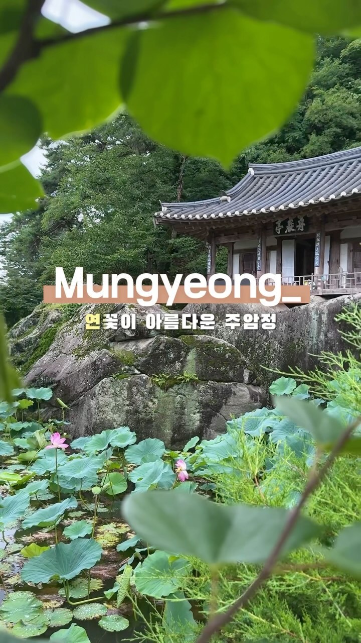 문경 가본 사람만 아는 주암정🪴

🏞️ 한적한 자연 속에서 역사와 전통을 
느낄 수 있는 문경 주암정을 소개합니다!

✨ 주암정의 매력 포인트
1. 역사적인 건축물로 조선 시대의 전통을 간직한 
아름다운 건축양식을 감상해봐요!
2. 사계절 내내 변하는 자연의 아름다움을 만끽할 수 있어요.
여름에는 바로 앞에 피는 능소화와 연꽃이 매력🪷
3. 도심을 벗어나 조용한 곳에서 힐링할 수 있는 최고의 장소!

📸 포토 스팟 추천
- 주암정 앞 마당에서 찍는 전경 사진
 (주인분이 계실때만 들어갈 수 있어요)
- 정자 안에서 내려다보는 풍경
- 주변 산책로에서의 자연 사진
- 연꽃과 물가의 조화

💡 방문 팁
- 오는 길에 좁은 길목을 지나와야해서 안전운전
- 주차장은 없고 화장실 옆에 이용
- 5분거리에 우암정도 들려보기

🏡 주소
경상북도 문경시 산북면 서중리 368

—

자연과 전통이 어우러진 문경 주암정에서 특별한 하루를 보내세요! 🌿✨

#문경 #주암정 #전통건축 #힐링여행 #여행스타그램 #사진찍기좋은곳 #여행인플루언서 #문경여행 #문경가볼만한곳 #경북여행 #문경연꽃 #연꽃