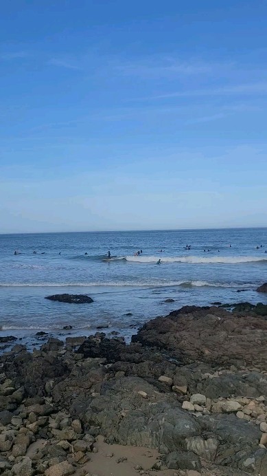 부산바다아이가⛱️🌊
