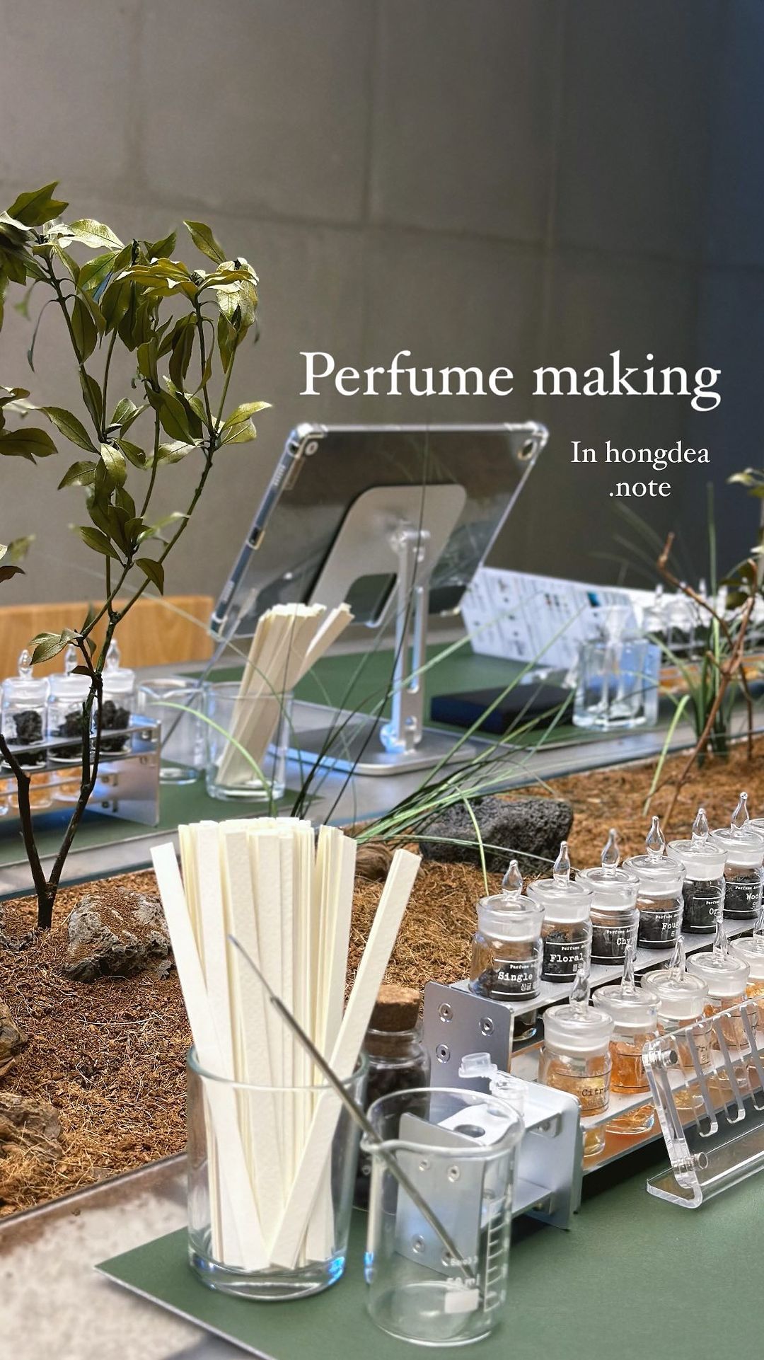🤍 나만의 향기를 만들수 있는 곳 
@dotnote.perfume

예쁜 카페만 가는 것 보다 
나만의 향수 만들기 클래스 어때요 🤭

예약제로 운영되고 태블릿PC를 통해 
따라하기만 하면 돼서 혼자서도 부담 없고, 
친구, 연인과 함께와도 즐겁게 만들 수 있어요 🎁

무엇보다 향료가 다양해 선택의 폭이 넓어서 좋아요 🛒
Top/middle/base 별로 20가지의 향료 총 60가지의 
향료가 준비되어 있어 행복한 고민 타임 ~ 🍀✨

📍주소 : 서울특별시 마포구 신촌로 4길 14 2층
📞 전화번호 : 0507-1394-5824
⏰ 영업시간 : 11:00~ 22:00
Last Time: 8pm
💸 49,000원
🚙 주차 : 불가능 / 근처 공영주차장 이용
.
.
.
#협찬 #닷노트 #홍대향수공방 #홍대원데이클래스 #홍대역실내데이트 #홍대역놀거리 #서울향수공방 #향수만들기공방 #홍대실내놀거리 #서울공방데이트 #홍대이색데이트 #홍대역이색데이트 #뚝섬역데이트 #서울실내데이트 #서울이색데이트 #서울핫플 #서울원데이클래스 #공방데이트 #홍대역데이트 #홍대핫플 #홍대데이트코스 #닷노트홍대 #perfumeworkshop #perfumeDIY #perfumemaking #koreatravel #koreatrip #.NOTE #dotnote