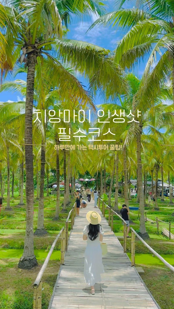 인생샷 찍는 치앙마이 필수스팟 하루만에 끝내기✨
+3만원에 프라이빗 투어하는 꿀팁도👀

치앙마이에서 꼭 해야한다는 근교투어! 
이색 체험부터 야경 감상까지
하루만에 다 돌아보는 인생샷스팟 
저장해두시고 이대로만 다녀오세요💛
이전 피드에서 상세한 정보도 확인 가능!

1.🌴코코넛마켓 Coconut Market
-마켓 전체가 야자수로 가득
-사진찍기 가장예쁜 주말마켓
-코코넛 아이스크림 존맛

2.🦍킹콩랜드&훼이텅타오 호수 
Huay Tueng Tao Lake
-대형 킹콩이 있는 이색스팟
-스위스풍의 호수도 함께 감상가능

3.💐플뢰르 카페 Fleur Cafe & Eatery
-엄청난 규모의 브런치카페
-잘 가꾸어진 정원과 꽃으로 포토존 백만개
-연못에 나룻배도 이용가능

4.🌴몬잼 Mon Jam
-해발 1300m 풍경이 펼쳐지는 대자연
-스릴있는 스윙그네 체험
-시즌마다 다양한 꽃밭을 감상

5.🐘엘리핀팜 카페 Elefin Farm & Cafe
-코끼리를 교감할 수 있는 카페
-코끼리 먹이주기 체험

6.🌳사이프레스 레인 Cypress Lanes
-현지인들의 웨딩촬영 성지
-꽃다발, 바구니 등 무료 소품대여

7.🕍왓파랏 Wat Pha Lat
-숲 속에 있는 신비한 사원
-물 반영되는 인생샷 스팟

8.🌃도이수탭 Doi Suthep
-치앙마이 대표적인 야경명소
-빛나는 황금사원이라 저녁이 예쁨

🇹🇭치앙마이 택시투어는 @tourstation.official 

[저렴하게 택시투어하는 꿀팁🤍]
많은 투어상품 중 제가 이곳을 선택한 이유는
’내가 원하는 일정‘으로 구성할 수 있는 프라이빗투어!
거기다 현지업체라 가격도 제일 착하고 핫플도 빠삭

차량이 낡거나 지저분한 경우도 많은데
제가 태국에서 탄 택시 중 제일 쾌적하고 
기사님도 짱짱 친절했어요🤍

하루종일 꽉 찬! 많은 장소를 다녀도 초저렴하게 프라이빗 택시투어를 이용할 수 있는 꿀팁! 궁금하시다면 팔로우 후 댓글로 [투어정보]라고 달아주세요🫶
*팔로우 돼있어야 Dm 정상발송 됩니다!