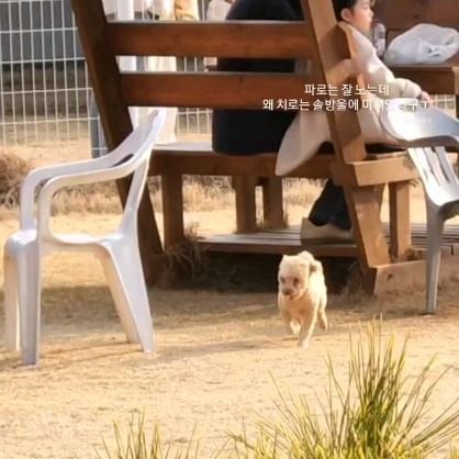 인스타가 너무 귀여운 릴스를 만들어줌...
노래랑 찰떡이구만ㅋㅋㅋㅋ귀여워🧡