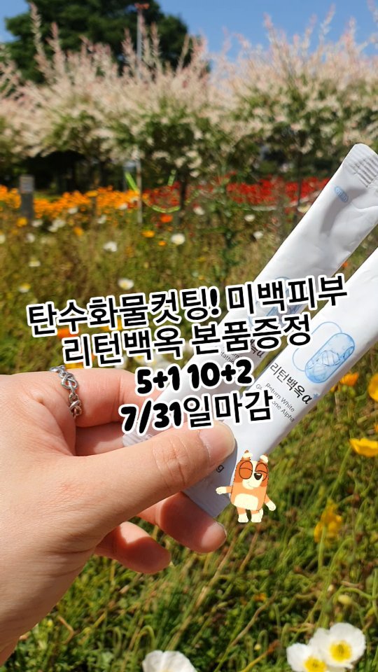 #리턴백옥공구 #비치백공구 #코인육수공구 #코프레시공구