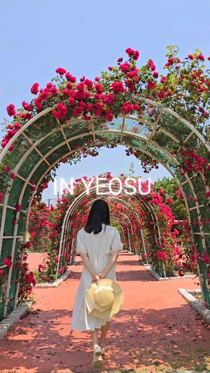 _
📸 2024. 5. 21
가는 날이 장날이라고 예초 작업 중이셔서..
정말 딱 3번 촬영하고 예초한 풀들이 날려서 (마지막 영상) 돌아왔어요~
# 여수시 장미동 #화장동인 제 나름의 이유🤔 입니다.
 
와중에 낮달맞이를 가야할지 말아야 할지😁