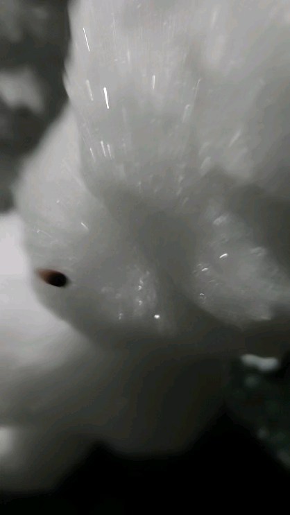 #눈사람 #토끼 #3월 #선맞팔 #좋댓