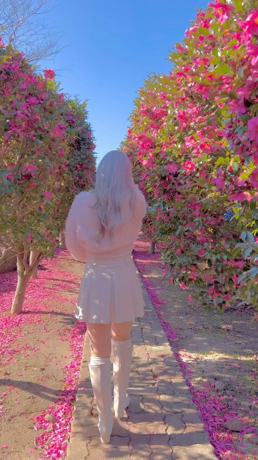 지금 당장 제주로 떠나야하는이유🌺✈️
⠀ 

⠀ 

⠀ 

⠀ 

⠀ 

⠀ 

⠀ 

#제주 #제주여행 #제주가볼만한곳 #제주동백 #동백 #제주카페 #서귀포가볼만한곳 #서귀포여행 #제주도여행 #겨울제주 #제주명소 #jeju #jejuisland #제주커플여행 #제주동백꽃 #제주동백수목원 #동백포레스트 #마노르블랑 #커플여행 #럽스타그램 #오오티디 #ootd #여행스타그램 #데일리룩 #좋반