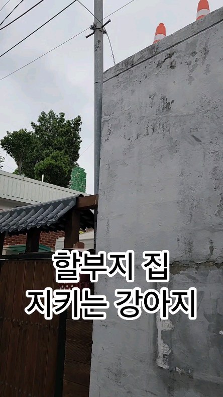 할비 껌딱지들 너네 먹여 살리는건 애미야
#애미는지갑만열어줄뿐