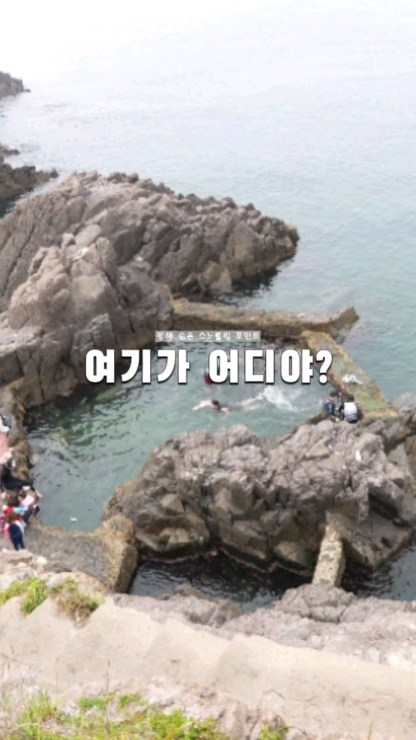 스노클링 포인트 핫한 곳이 있었어요!!

🪔 송대말등대
경북 경주시 감포읍 감포로 226-19 

주차장 : 감포항 내 주차장 / 경주수협활어위판장 주차장

수영장처럼 보이는 곳은 일제강점기때 
방어 양식장으로 이용하면서 시멘트로 작업을 한거랍니다

암석이나 바위가 많기 떄문에 조심히 이용하세요

안전에 유의해서 방문하시면 좋을꺼 같아요
스노클링하지 않더라두
바로 옆 감포 빛 전시관도 보고
여기도 보고 가도 좋답니다 ☺️

#송대말등대 #감포스노쿨링 #경주감포 #동해안