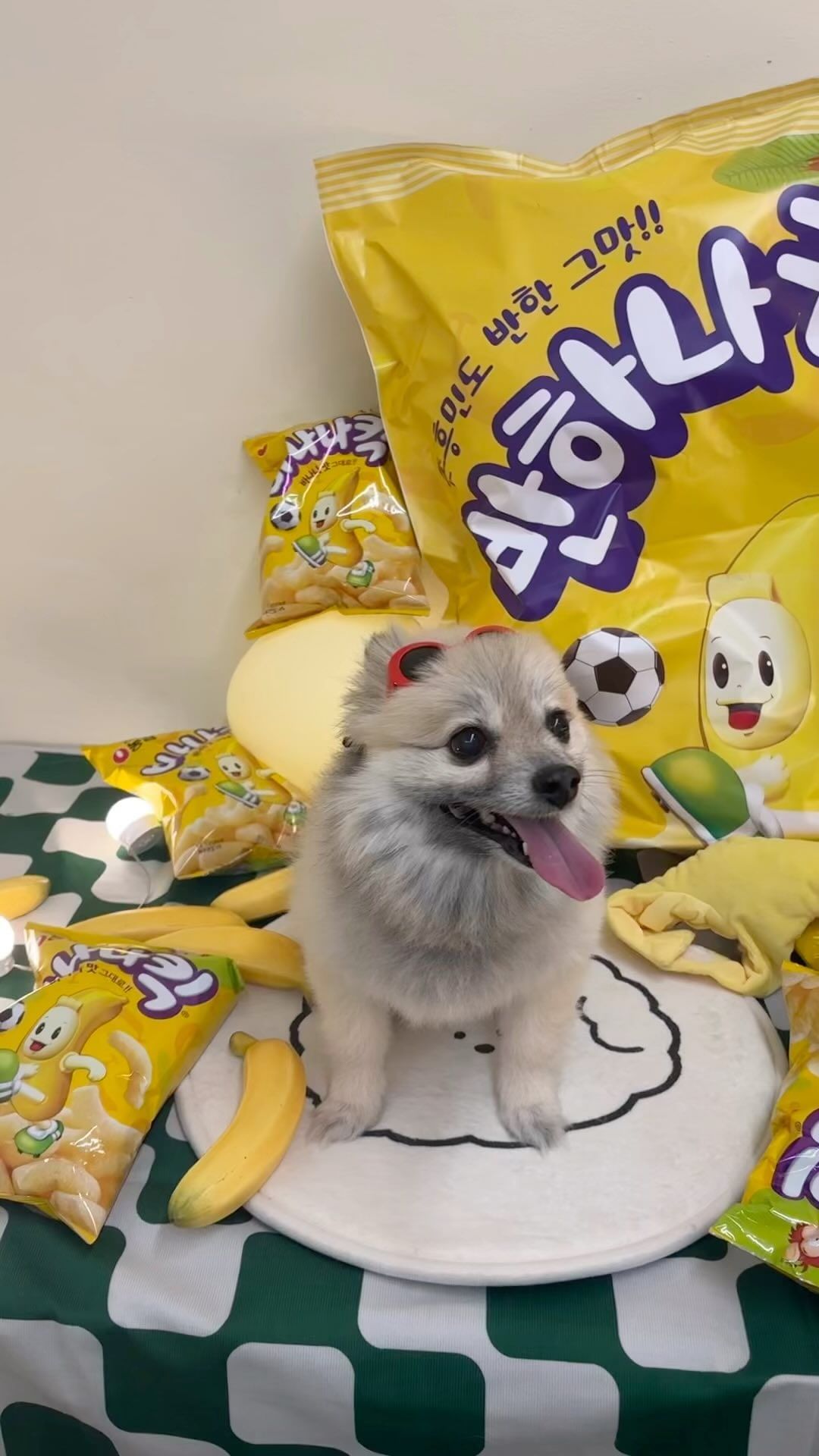 안히 ㅎ 유행이고 뭐고 떠나서 이거 해보고 싶었다구욧