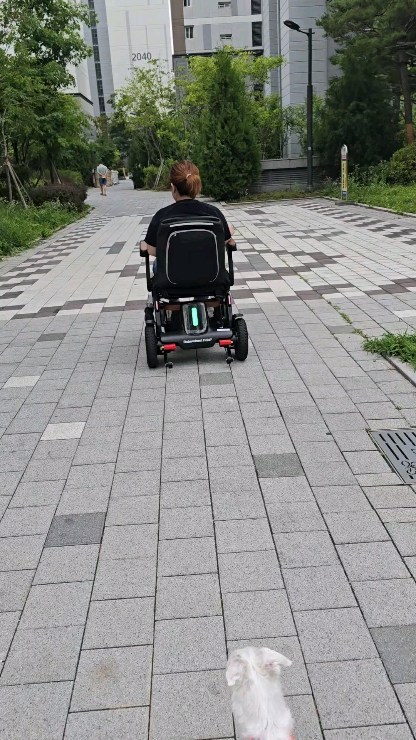 #로보휠폴드10 #카이로보틱스 #첫시승식 #강아지와산책