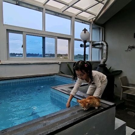 #제주도애견동반숙소

강아지,고양이 동반 할수 있는 제주도 독채 풀빌라
제주다와에 다녀왔어요!

프라이빗하게 쓸수있는 풀장과 애견을 위한 계단, 아기자기 한
집까지 모두 셋팅되어있어요🫢

한가족만 즐길수 있는 프라이빗한풀빌라까지!

제주도의 애견동반숙소 찾으신다면 바로여기 다와펜션🩷

#제주도풀빌라 #제주도펜션 #제주도강아지펜션#애견동반 #제주도풀빌라 #제주도애견동반숙소 #제주도애견동반풀빌라 #제주도펜션 #제주도숙소

제주특별자치도 서귀포시 안덕면 소기왓로 81-4
010-5276-1903