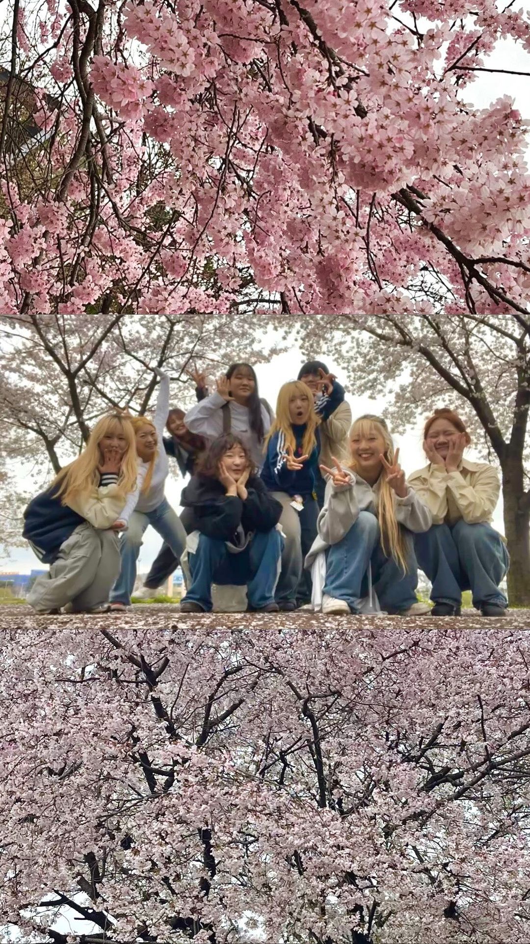 얼레벌레 봄나들이🤍🌸

@woosongart @woosongdance 🩷

#벚꽃역 #대전벚꽃역 #벚꽃역N페스타 #대전교통공사 #양옹잉 🫶