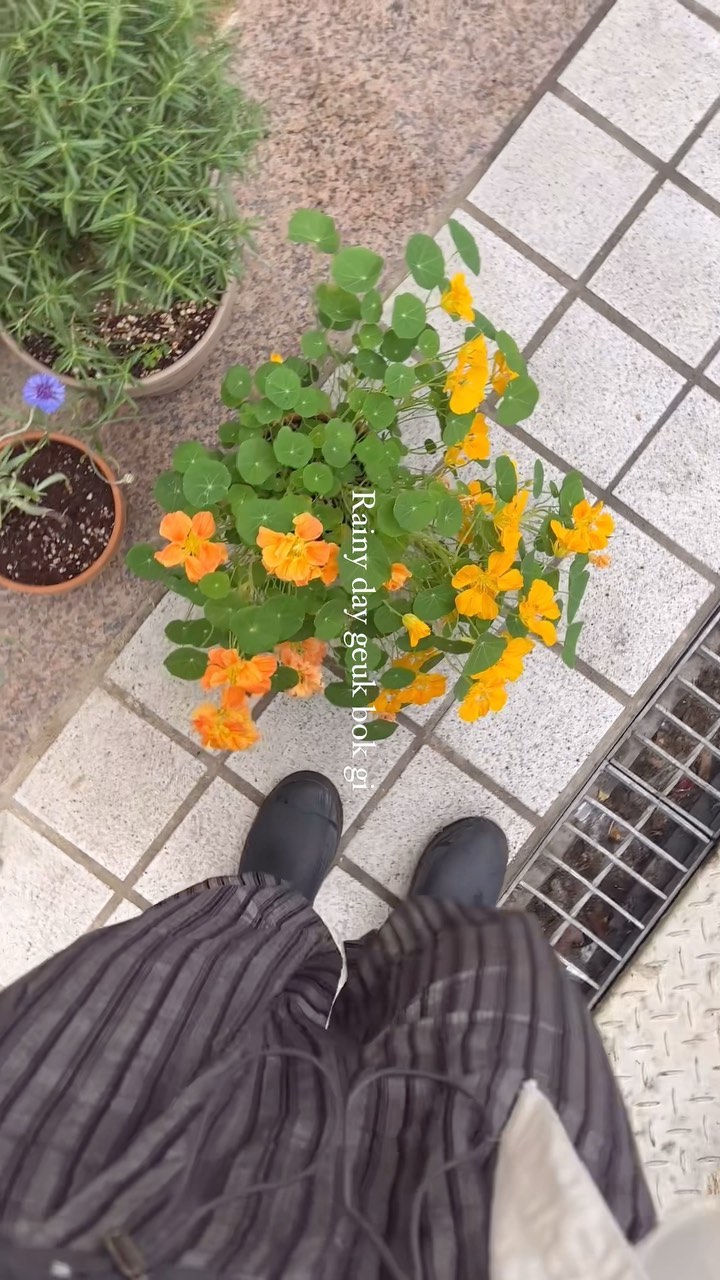 비오는날 극복사례 (1)