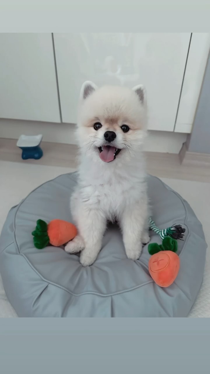 BEBE💕