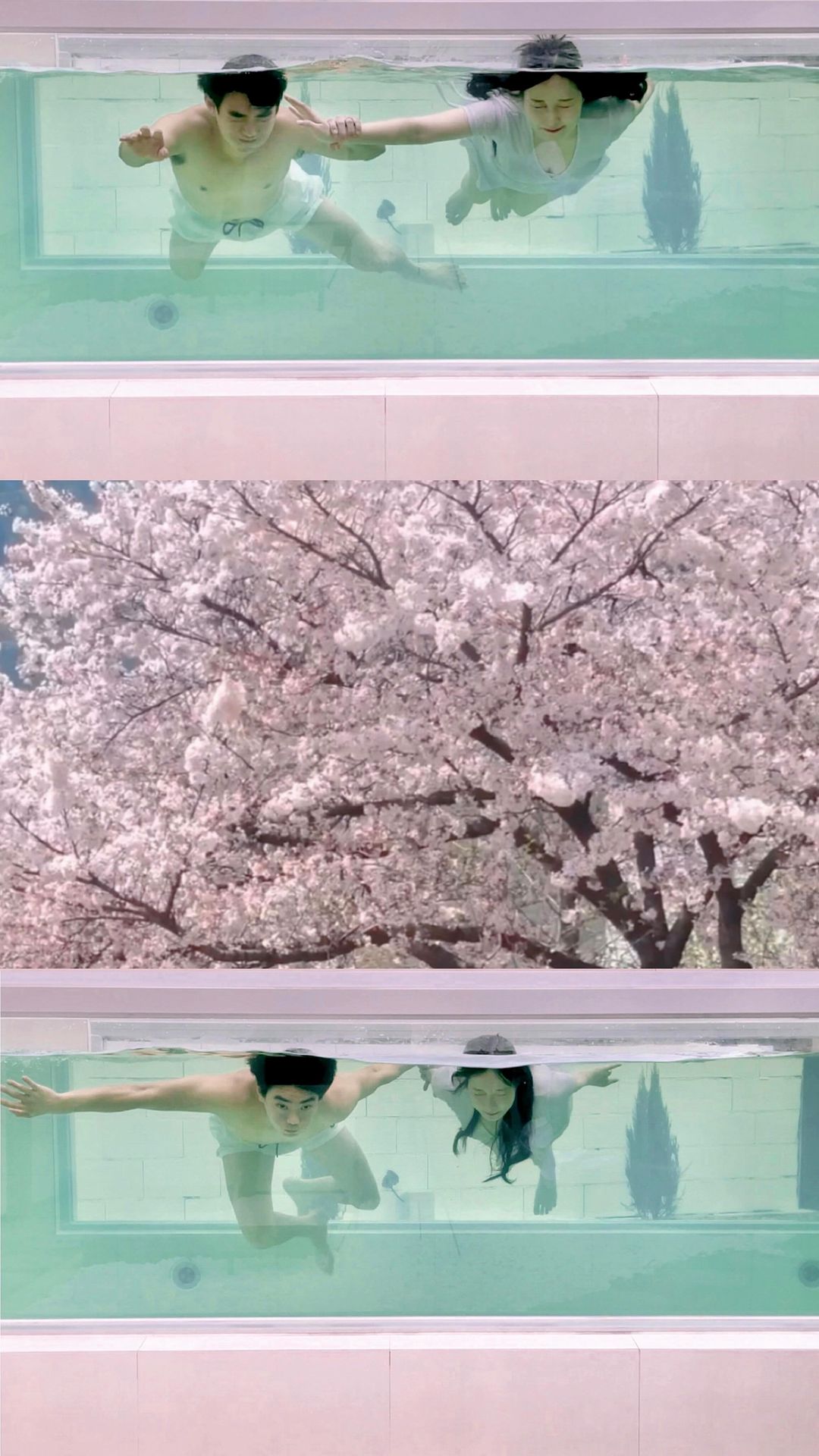 🌸 봄을 만끽할 수 있는 경주 숙소라고? 🌸
벚꽃 만개중인 지금 다녀온, 너무 귀한 숙소예요 🤍

경주 신상 풀빌라 🛀 모든 것이 갖추어진 곳이에요!
2층을 단독으로 이용할 수 있고,
온수풀, 자쿠지, 테라스까지 갖추어진 천국을 소개합니다〰️

요로코롬 맑고 투명한 아크릴 수영장에서는 
막 찍어도 화보가 탄생한답니다? 🥽🫧
(촬영시에는 삼각대 놓고 동영상 모드를 활용해 보아요😉)

요 수영장도 온수풀이라 따뜻하지만,
밤수영 후에는 그보다 더 따끈한 자쿠지에 몸 녹이는 거,,,
포기할 수 없겠죠? 🛀 
🥹 정말 정말 행복했어요 !!!

경주에서 가장 떠오르는 핫플인 
황리단길, 첨성대, 대릉원 근처라서 위치적 장점도 확실!

실내 바베큐장에는 냉낭방기까지 있어요!
저 이런 센스 처음 봐여 🫨 너무 편하고 좋은 거 있죠? 

🌸 봄 나들이로 경주 가시는 분들,
20만원대로 2층 독채 단독으로 이용하시구
2개의 물놀이도 실컷 하십시오😌 추천합니다 

* @gamsung.bnb 측의 숙박권 이벤트로 다녀왔습니다! 

🏡 경주 못안 풀빌라 @modan_poolvilla
▪️경북 경주시 화계로 749-2 
▫️체크인 15:00 체크아웃 11:00
▫️2인 / 최대 6인
▫️침실2(침대3), 욕실2, 다이닝룸, 자쿠지, 온수풀(폴딩도어)
▫️실내 바베큐장(냉낭반기, 전기그릴), 테라스
▫️빔 프로젝트, 커피 머신, 대형 TV 

#못안풀빌라 #경주풀빌라 #감성비앤비 #숙소추천 #경주숙소 #경주감성숙소 #경주커플숙소 #감성숙소 #콩지커플_숙소