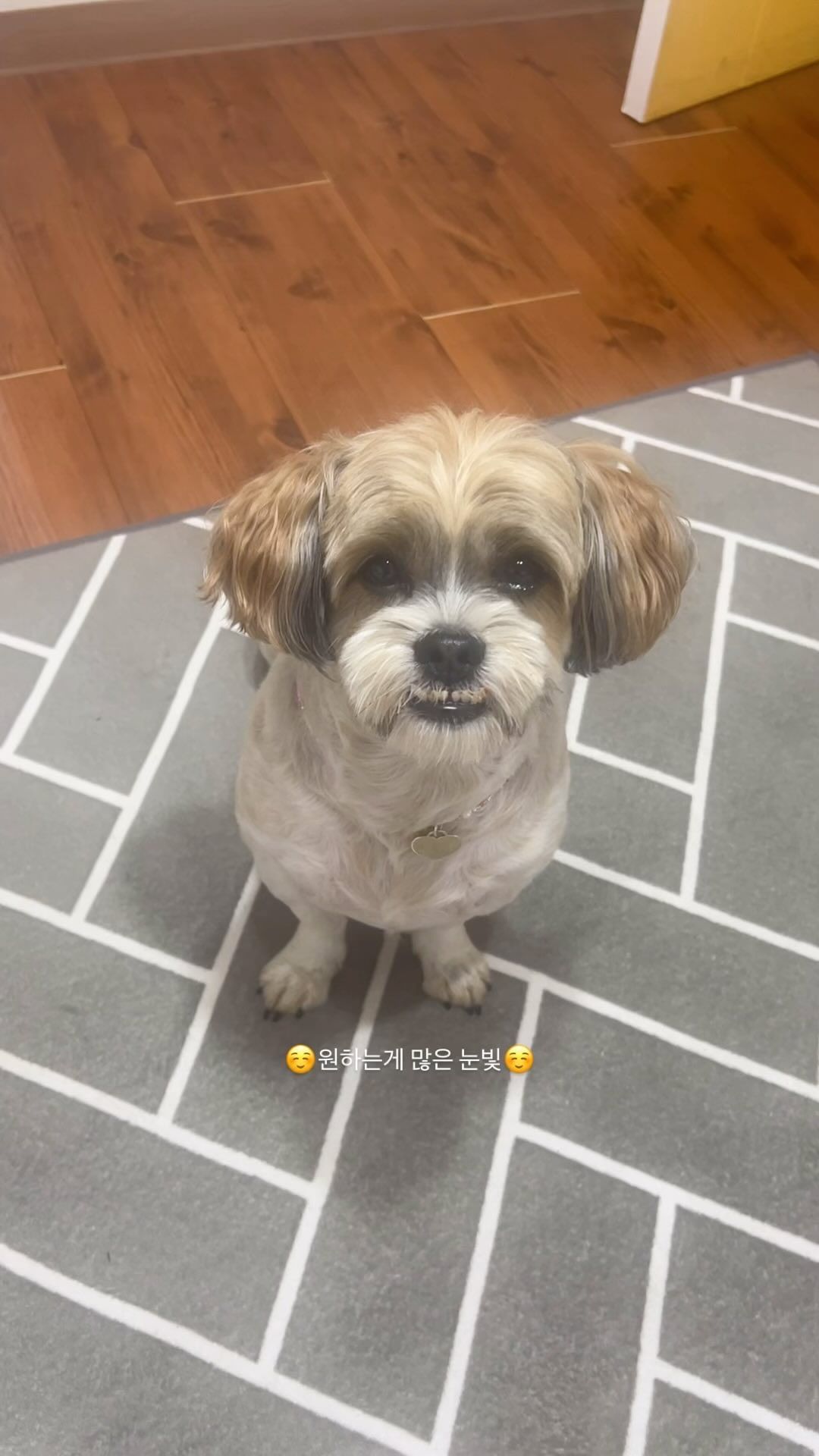 뭘달라그!!!!!!!!!!!!!!!!!!!#원하는게뭐야