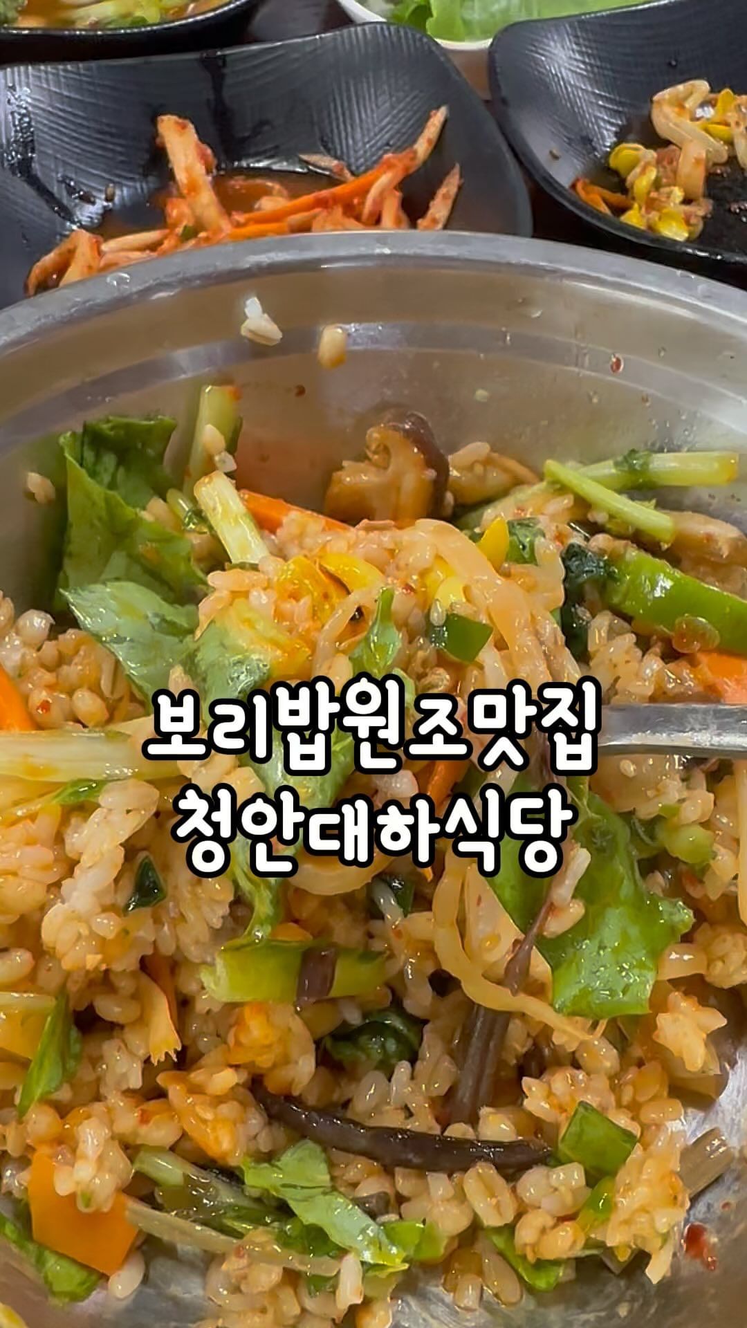요집을 잊고 있었네?
간만에 간 보리밥 맛집! 이집은 제육필수!

#보리밥#비빔밥
#청국장#된장찌개#대하식당