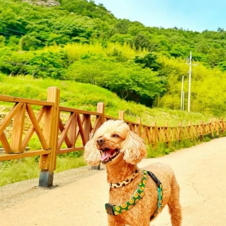⠀
#다랭이마을
#남해여행
#남해애견동반
#카페톨
#바래온
#가족사진