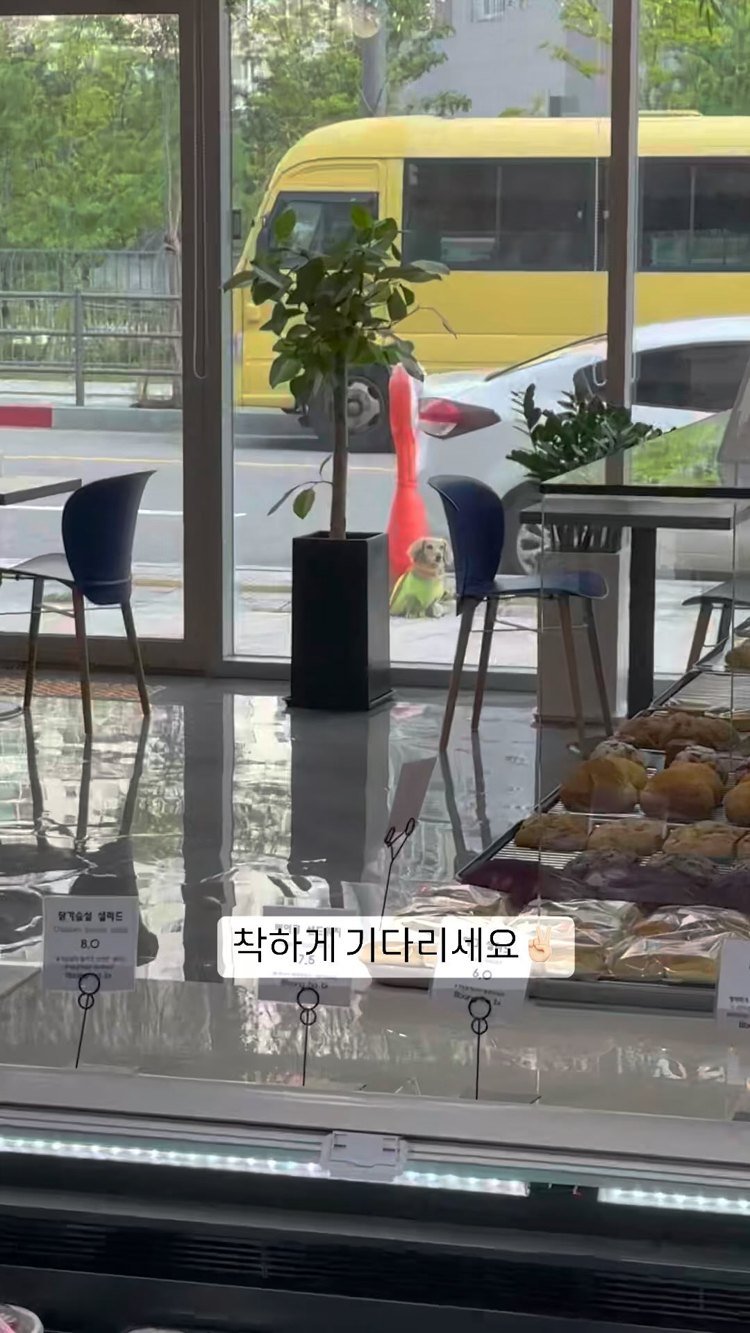 기다리면 복이와요👅 빵순러버 주말아침은 무조건 빵인둣
