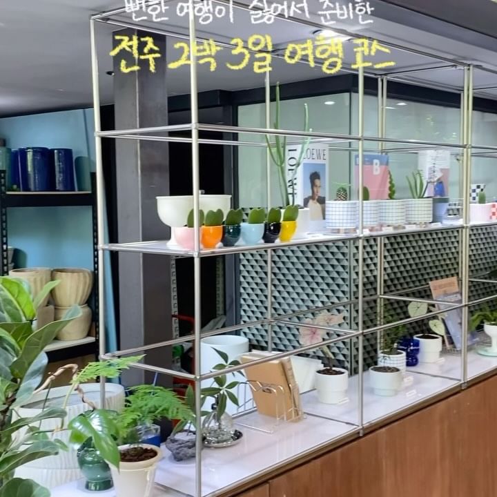 🚗뻔한 여행이 싫어서 준비한 전주 2박3일 여행코스

-

🚩1일차
📍한국도로공사 전주수목원
대나무숲에서 사진 잘 나와. 대나무 사이로 스며드는 자연광이 너무 예뻐
📍지복점
함박스테이크 육즙 대박이양~~ 크림소스 같이 먹어야해 꼭이야!!
📍서점 카프카
책 읽으면서 커피 한잔 하기 좋은 카페겸 서점이야. 조용하고 분위기 짱
📍올라젬마 공방
직접 가죽을 꼬아서 팔찌를 만들 수 있는 공방이야. 이색데이트로 좋아!
📍페페무드 소품샵
내 인생 가장 맘에 든 소품샵!! 유니크한 소품이 정말 많아서 지갑 조심해야해. 귀여운 식물도가득해. 여기는 다음에 꼭 또 갈거야⭐️
📍늘채움
지역별 특산물로 만든 요리가 코스로 나오는 곳이야. 부모님 혹은 연인과 함께 가기 좋은 맛집! 나는 아주 만족이었당~~
📍연화정 도서관
해가 지고 난 후 분위기 맛집이야. 도서관이 너무 예쁘고, 사진도 잘 나와서 요즘 핫플인 것 같던데?

🚩2일차
📍Erumi 옷가게
우연히 갔다가 여름용 셔츠 겟했는데 너무 이쁨! 다들 그거 보러 들어오더라~~
📍Cope 옷가게
무난한 옷부터 유니크한 옷까지 마음에 들었던 남자옷가게.
📍오브젝트 전주점
오브젝트 연남점과 비슷한듯 다른 느낌? 조용해서 구경하기 편했어.
📍더화이트피스
지나가다 들른 요즘 핫플 소품샵. 개인적으로 마음에 드는 그릇들이 많았어.
📍카페 이리베
지나가다 들른 카페인데 우드 인테리어가 예뻤어. 더 화이트피스 옆이라서 연달아 가기 좋아.
📍202타이
여행 마무리에 몸풀러 가기 좋은 마사지샵. 마사지뿐 아니라 서비스가 좋아서 마음에듦.

🚩3일차
📍자이라플랜트 전주점
식물을 좋아한다면 추천하고 싶은 곳! 다른 곳에서 잘 판매하지 않는 식물이 좀 있더라고. 나는 칼라디움 구매했어💕
📍아원고택
이미 너무 유명한 핫플이야. 한옥 마루에 앉아 바람쐬며 마시는 오미자에이드가 정말 맛있어. 자연+한옥 배경 사진이 엄청 잘나옴!!

-

전주 가면 늘 한옥마을에서만 놀았는데, 이번엔 뻔하지 않게 다녀오려고 노력했당😤
한옥마을 말고도 갈 곳 많더라 전주~~👍🏻

#전주여행 #전주여행코스 #2박3일 #전주맛집 #전주카페 #여행