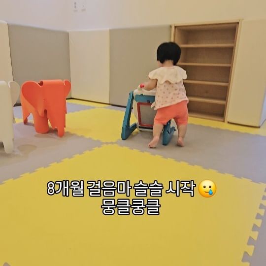 248일 
다리힘이 좋아서 일찍 잡고 서있더니 
요즘에는 걸음마 하려고 하네요 🥲 너무 빨리큰다

#딸바보 #딸스타그램 #토끼띠맘 #8개월 #걸음마 #육아맘 #baby