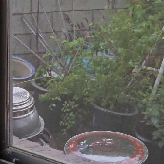 ☔️
비오는 날 출근길에 올리는 내가 사랑하는 공간.
정방형을 참 좋아하는 나지만, 갤러리를 살펴보니
영상 마저도 정방형 뿐...🫠