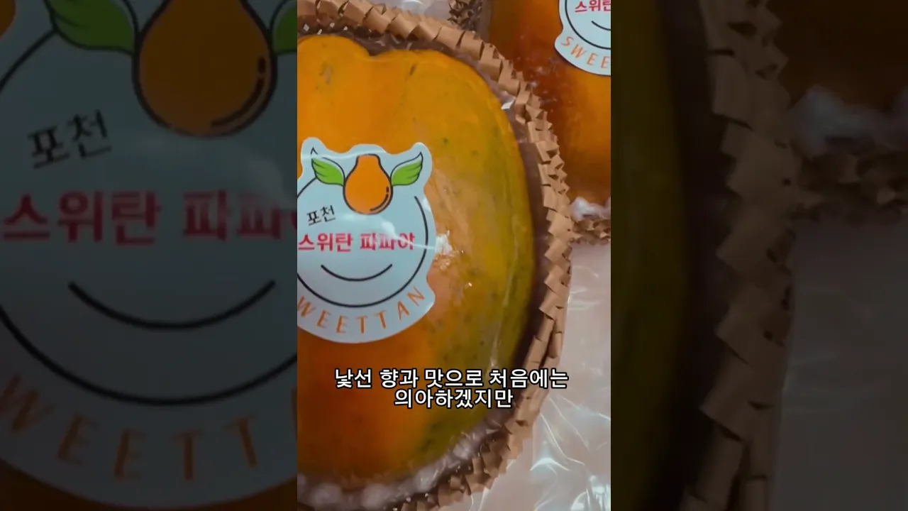 파파야는 못참지… 처음 드시는 분들은 낯선 향과 맛으로 조금 당황스러우실 수 있지만 계속 먹다보면 매력이 있다는게 파파야의 강점.. #shorts #short #파파야
