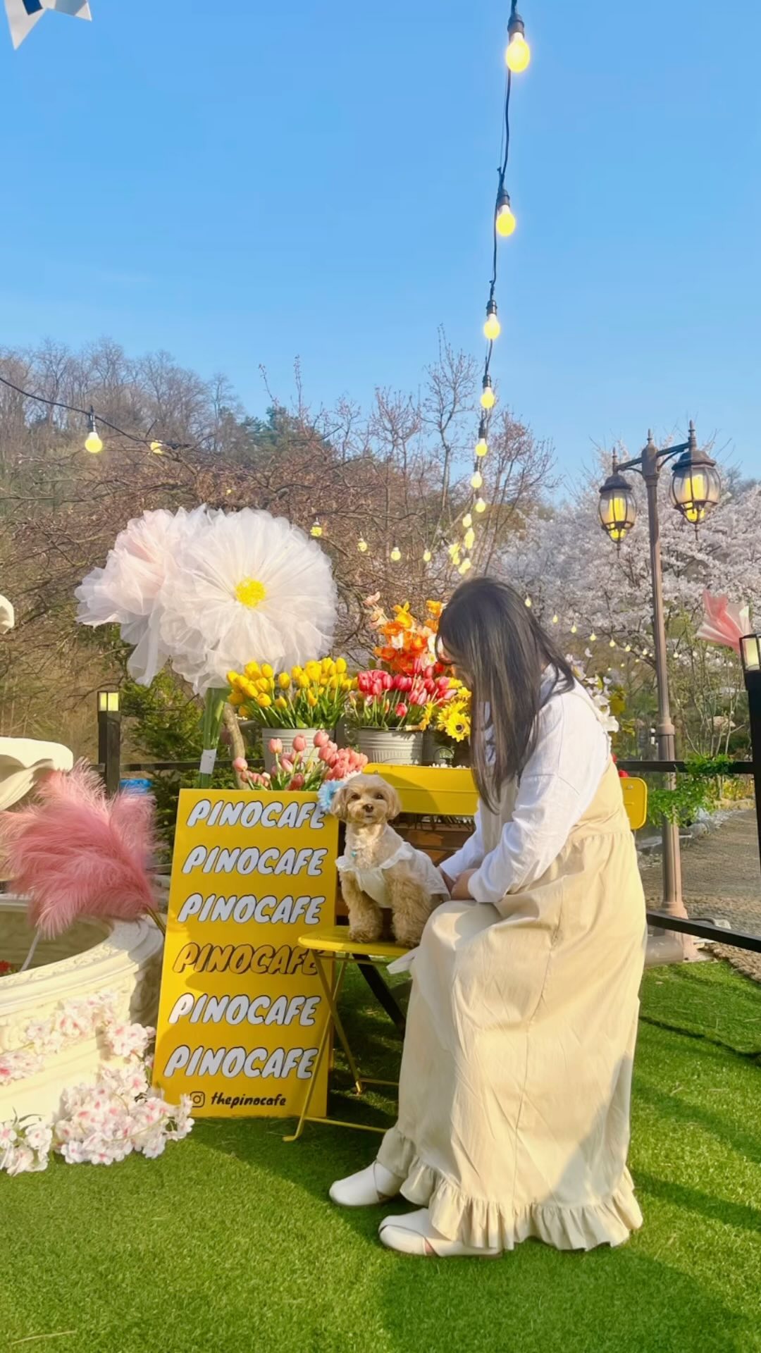 ’◡‘

가는 카페마다 성공,,🤍
우리 뭉탱이 두번째보는 벚꽃 성공 🌸