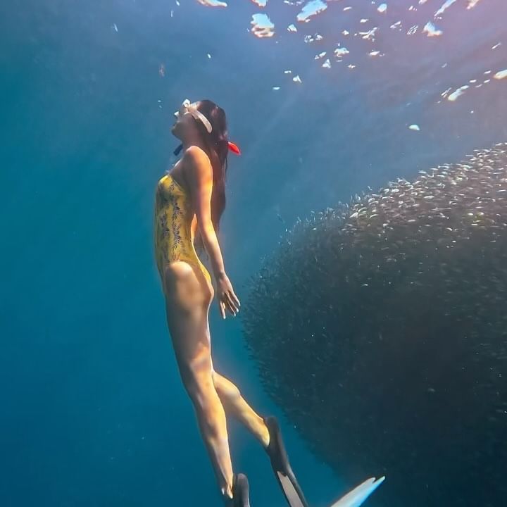 BOHOL🇵🇭