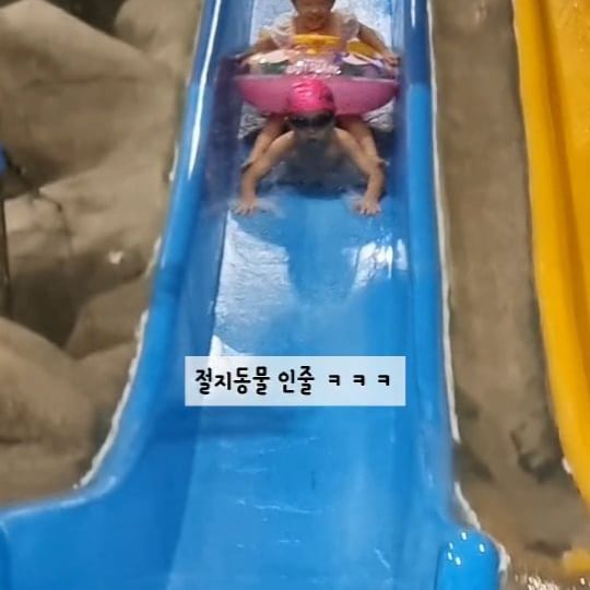 #5살
#6살
#유아수영

야무지게 논다 ㅋㅋㅋ