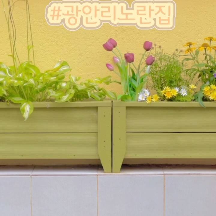 혼자 여행의 시작점 #광안리노란집 
소심쟁이 INFP라 혼자여행은 생각도 못해봤는데 내 감성과 잘 어울렸던 광안리노란집 덕분에 새로운 재미를 찾았다.
광안리 숙소 = 오션뷰 국룰이라고 생각했는데 오션뷰를 포기하고 더 많은 것을 얻을 수 있는 숙소
북적북적한 광안리 도심 속에서 고요하고 아늑함이 반전 포인트!
#슬세권 숙소에서 제공해주는 슬리퍼 신고 1분만 걸어나가면 광안리해수욕장, 드론쇼, 문화공연, 푸바오, 해바라기, 민락수변공원 등 핫플까지 만날 수 있는 #광안리숙소 

광안리하면 바다만 생각났는데 숙소 주변 시선이 닿는 골목골목마다 특유의 분위기가 매력적인 곳

소박하지만 독서, 아늑한휴식처, 옥상, 주변 골목 감성 등 스토리가 담겨져있어 하나하나 알아가는 재미까지👌

📍광안리노란집
-세스코 안전구역
-와이파이, TV, 블루투스, 인터넷 설치
-돗자리, 슬리퍼(소독 후 비치)
-욕실 비품 준비
-식기 및 전자렌지, 냉장고, 세탁기, 인덕션, 청소기, 옷장, 화장대, 드라이기 등 구비
-침구 청결 유지
-상시 케어
-옥상 장독드로잉 및 독서 가능

📌문의 @noranzip_gwangan_ 
.
.
.
.
.
#광안리여행 #광안리여행코스 #광안리감성숙소 #광안리 #광안리해수욕장 #광안리해바라기 #광안리푸바오 #부산여행