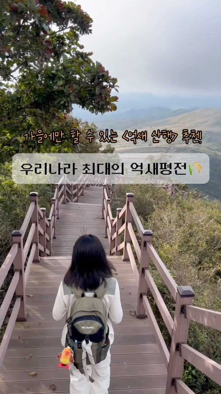 📌 가을이 가기 전에 가야할 곳!

바로, 대한민국 최대의 억새평원이 있는 황매산입니다🌾 드넓게 펼쳐진 금빛물결, 억새평원까지 관절에 무리 없는 살방 코스로 등린이도 쉽게 갈 수 있어요! 다들 가을이 가기 전에 가보시는 건 어떨까요?😉

-
⛰황매산
📍 경남 산청군 차황면 법평리 1-17
미리내파크주차장~정상~원점회귀
🍯 관절 무리 없는 완만 꿀코스(정상 직전만 조심)
🕖 왕복 2시간 꿀코스
인데 일출+100좌 파티=4시간…😉🧡
📆 방문 날짜: 2024. 9. 28.(토)

-
@nepacrew X 가을에만 할 수 있는 아웃도어 활동
#NEPACREW #NEPA #네파크루 #네파 #MISSION #NEPACREW_NMISSION #nepacrew_mission13