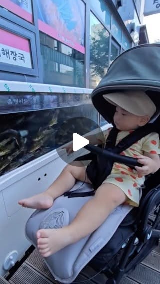 D+464
동네 매운탕집에서🐟
물고기 구경👀

#육아 #육아스타그램 #baby #boy