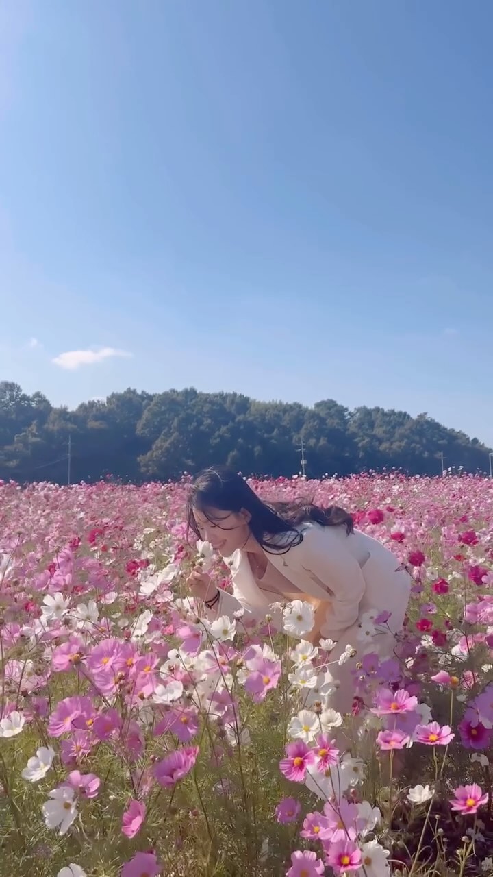 .
황홀한 가을의 순간, 가을꽃ver🌸🌼🌻
.
.
#화순 #고인돌유적지 #가을꽃 #화순고인돌가을꽃축제