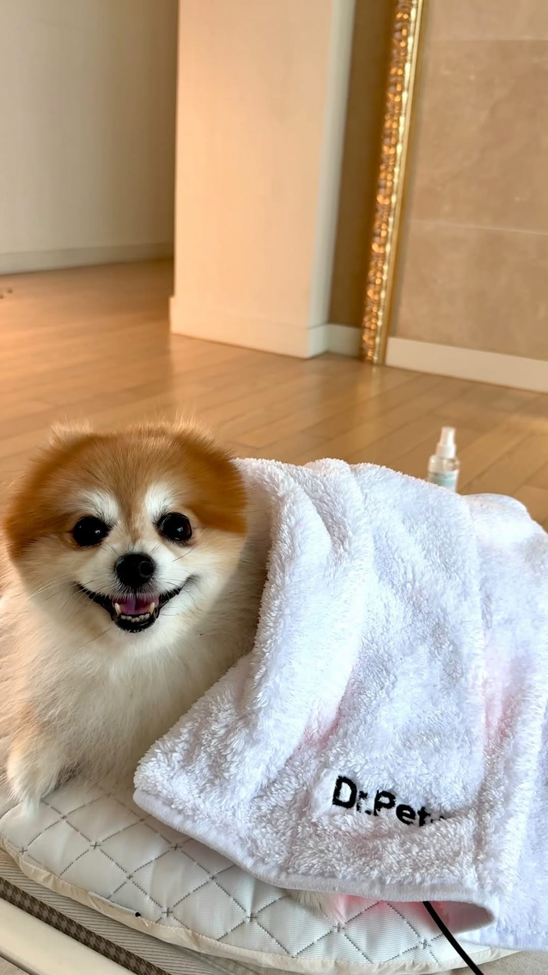#닥터펫서포터즈4기 

어느새 펫큐어레이를 꾸준히 사용한지 2달째!

오늘은 뭉이가 펫큐어레이를 사용하기 전에 궁금했던 부분을 
친구들에게도 알려줄게 🤗💕

✅ 화상 위험?
열이 아닌 근적외선을 사용하여,
반려동물 평균체온과 비슷한 38도로 화상 위험없이 케어 가능 😉

✅ 온열조사기와 다른 점?
피부 표면에만 온열이 전달되는 방식과 달리,
피부 깊숙히 침투하여 지방층은 물론 근육층까지 빛이 도달하여 효과를 극대화 😍

✅ 소음이나 전자파?
소음 Zero, 전자파 Zero 
안심하고 사용할 수 있는 동물용 의료기기로 허가받은 제품 😇

건강이 최고야 🐶💓💓
🏷️ @mungmungcom 

#유기동물예방캠페인 #유기동물입양 #유기동물찾아주세요 #닥터펫 #펫큐어레이 #펫스니즈 #사지말고입양하세요 #펫스타트업 #반려동물스타트업 #동물용의료기기 #동물용의약품 #닥터펫과함께유기동물찾아요
#닥터펫펫큐어레이 #강아지적외선조사기 #강아지근적외선조사기 #적외선조사기 #강아지조사기 #강아지슬개골탈구 #고양이관절 #강아지디스크 #고양이디스크 #강아지피부병 #고양이피부병 #서포터즈 #닥터펫카페 #닥유마함 #닥터펫서포터즈