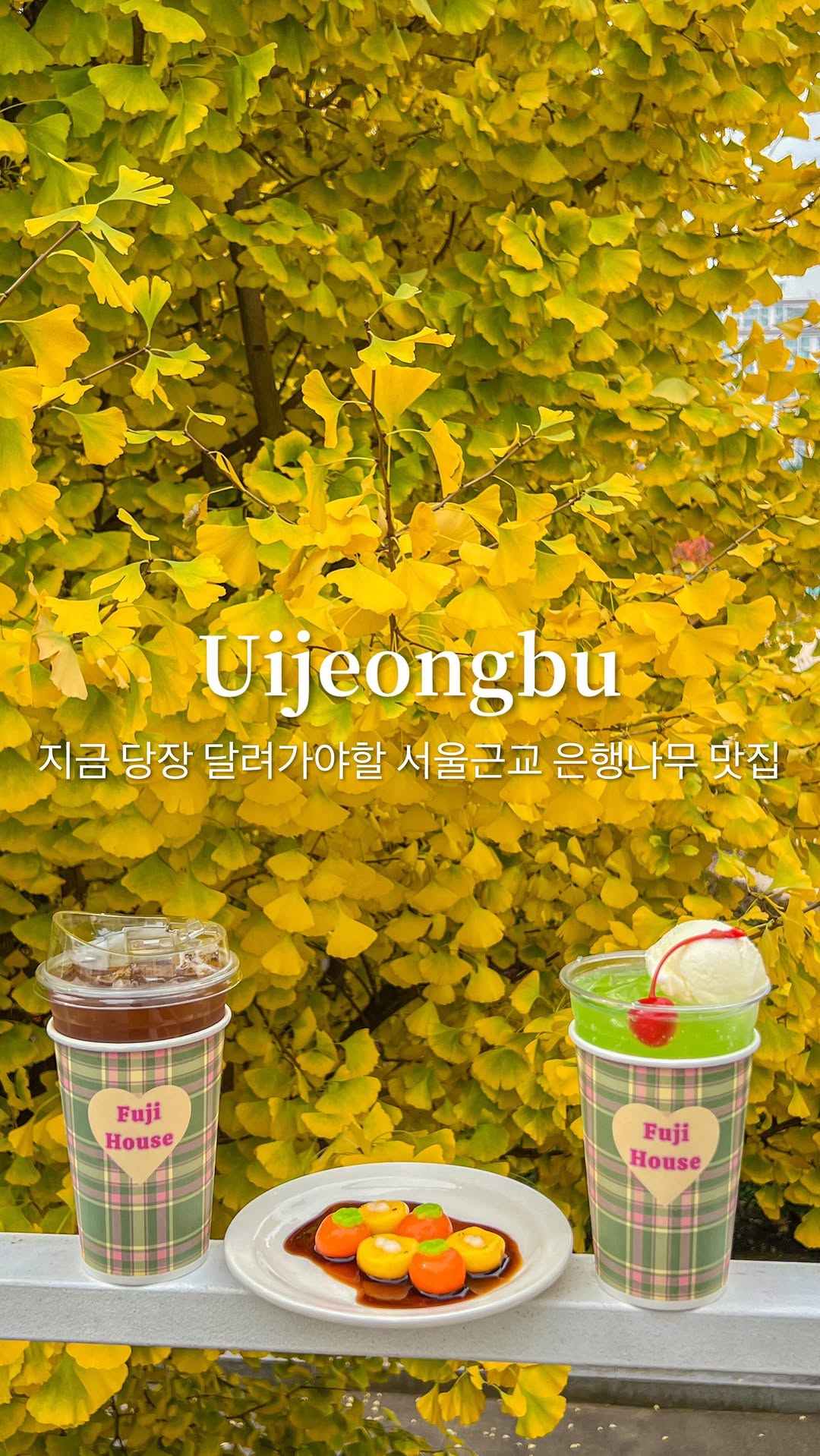 (저장) 실시간 지금 당장 달려가야할 서울근교 은행나무 맛집💛

서울에서 1시간만 달려오면 테라스에서 은행나무를 
만끽할 수 있는 카페가 있어요💛바로 이름도 귀여운 
‘푸지하우스’인데요! 은행나무가 아니어도 카페 자체가 
아기자기한 분위기에 동화 속 집 같은 느낌이에요😳

푸지하우스의 테라스 바로 앞에는 세 그루의 큰 은행나무가 
있는데요! 오른쪽은 완전 노랑, 가운데는 딱 50%, 
왼쪽은 아직 초록빛으로 다음 주 내내 너무 예쁠 예정이에요💛
심지어 포토존도 따로 있어서 자리싸움 노!! 
차례차례 은행나무와 사진 찍을 수 있어요 :)

은행잎은 이번 주 주말부터 다음 주 초까지 완전히 물들지 않을까 싶어요! 왼쪽 편 물이 덜 들었지만 지금도 충분히 예뻤고 
여유있을 때 찍어서 만족해요😌 요기 소다 메뉴랑 
고양이 당고도 유명하니까 꼭 드셔보세요!

🎥2024.11.01

✅금요일 오픈런 기준 3팀 정도
매장과 테라스 모두 자리가 많진 않아요!

📍푸지하우스
경기 의정부시 신흥로 369-3 1층
⏰일, 월 11:00-18:00 / 수-금 11:00-20:00 
*매주 화요일 정기휴무

@a.0_daily 팔로우 하시고 실시간 여행 꿀팁 확인하세요 ◡̈