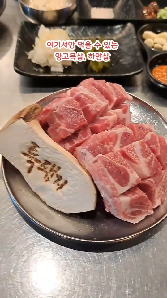 돼지고기 특별한부위 찾는다면 여기
사장님만 안다는 하얀살과 
망고아이스크림이 서비스로 나오는 
망고목살을 맛 볼 수 있는곳
한정판매이니 남아있을 때 주문하세요

#특돼지 #서울목동맛집 #목동고기집 #목동맛집 #목동삼겹살맛집 #목동돼지고기맛집 #목동고기맛집