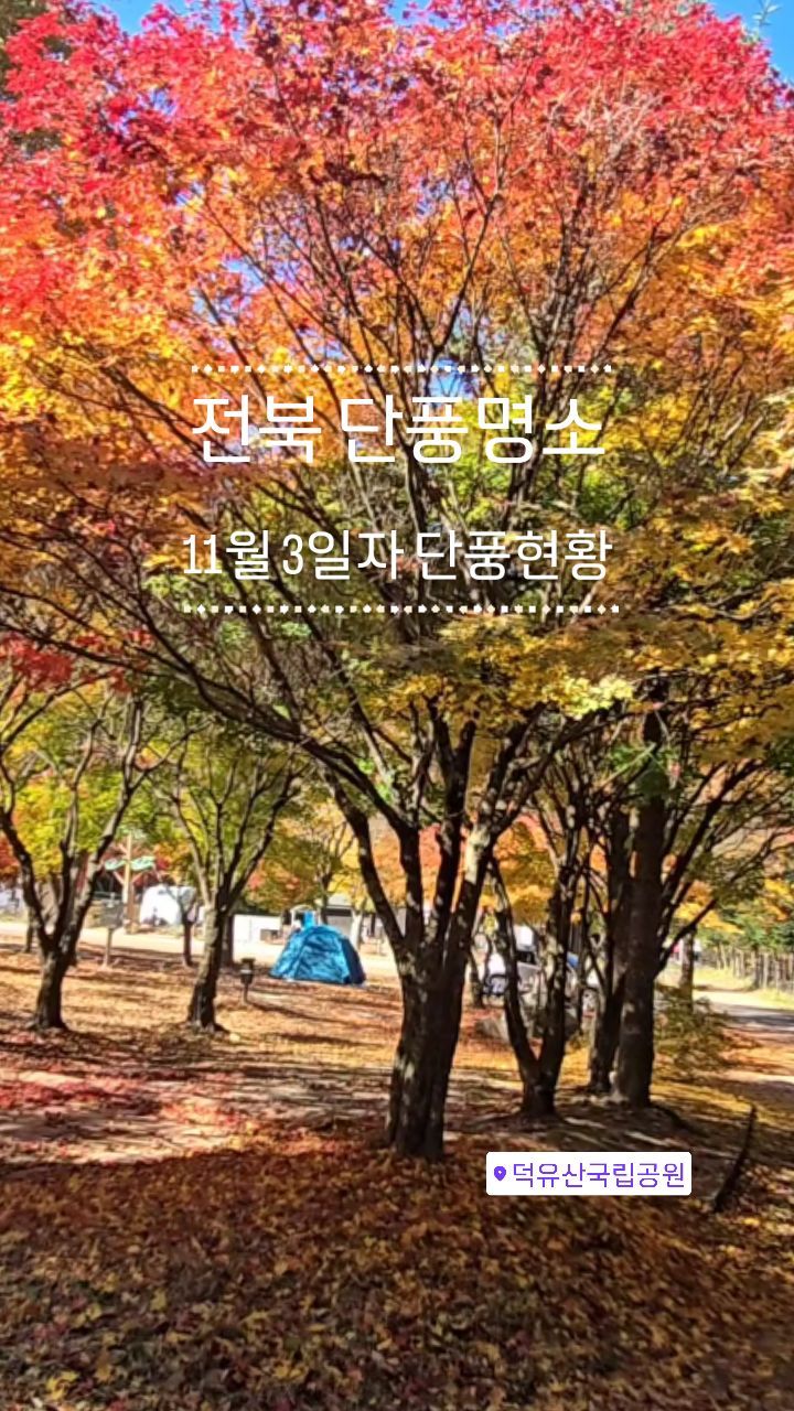 주말 전북 단풍명소
아직 절정 아니에요
하지만 곧 절정이 올듯.

무주 덕유산국립공원 탐방로를 걷다보면 예쁜 단풍을 볼수 있어요.
둘러보고 내려오는길에 산나물과 버섯전골로 배채우고^^

완만한 길이라 유모차 끌고 다니기 편해 온가족 다녀오기 좋은 단풍명소에요.

가는길 옆으로 계곡이 흘러 눈도 힐링 귀도 힐링, 피톤치드로 힐링힐링~~

#덕유산국립공원 #무주구천동단풍 #전북단풍 #전북단풍명소 #단풍 #구천동 #단풍명소 #단풍절정 #덕유산