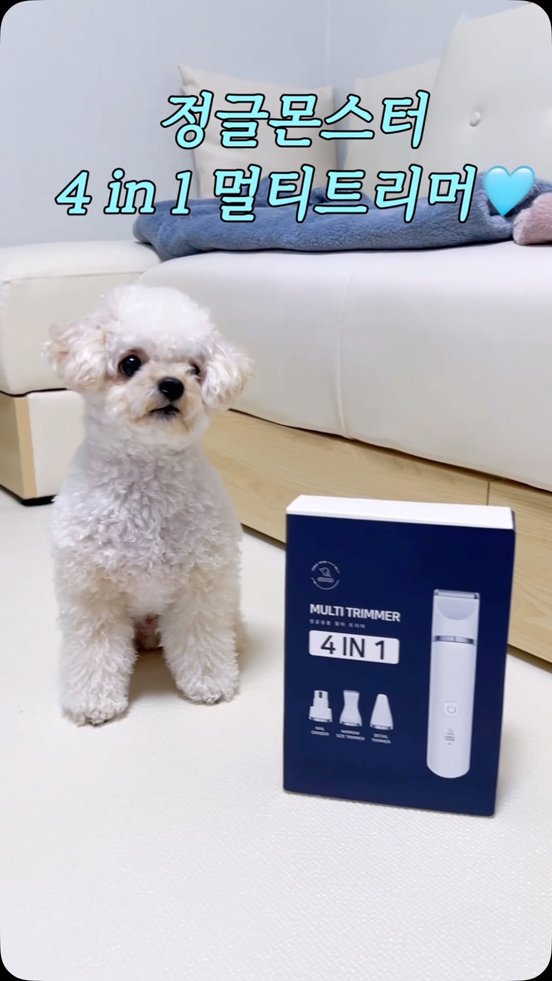 #협찬

반려견 첫 셀프미용🐶
어떻게 해야할까 고민인 견주들 주목!!

몽이는 엄마아빠가 뭘해도 크게 싫어하지않고 가만히 기다려주고 참아주는 착한 멈무예요:)
그런 몽이임에도 저희는 셀프미용은 쉽게 도전하지 못했어요. 아무래도 전문가가 아니다 보니 행여나 실수해서 몽이가 다치기라도 할까봐, 그리고 예쁘게 미용할 자신도 없어서요..(?)🥲

그러다 알게된 정글몬스터 4in1 멀티트리머🌟

처음엔 잘되려나 했지만 써보자마자 와 이거면 미용 다 할 수 있겠는데..? 하는 생각이 들었어요! 
사이즈도 작고 무선인데다가 무게도 가벼워서 쉽게 사용할 수 있었고, 털이 깔끔하고 부드럽게 깎여서 되게 좋더라고요:)

길이조절캡도 있고 헤드도 종류별로 다 있어서 부위별 미용이 가능한 점도 좋았고, 그리고 무엇보다도 세척!! 
물💦로만 쉽게 씻어낼 수 있어서 특히 좋았어요!!

아, 또! 몽이가 놀라지 않고 바라보며 신기해할 정도로 작은 소리!! 강아지들은 큰소리에 놀라는 경우가 많은데 정글몬스터 멀티트리머는 그렇지 않았어요.ㅎㅎ 그래서 수월하게 미용할 수 있었답니다!

✅️반려견 셀프미용을 하고 싶은데 어떤 제품이 좋을지 고민이라면,
✅️하나로 발바닥, 엉덩이, 배, 밭톱 등 다 되는 올인원 트리머를 찾는다면,
✅️가볍게 사용할 수 있는 트리머 궁금하다면,

정글몬스터 4in1 멀티트리머를 찾아보세요!ㅎㅎ

#협찬 #정글몬스터 #멀티트리머 #강아지미용 #강아지미용도구 #강아지이발기  #강아지이발기추천 #강아지바리깡 #강아지바리깡추천 #강아지셀프미용 #강아지트리머 #애견이발기 #애견이발기추천 #말티푸 #말티푸미용