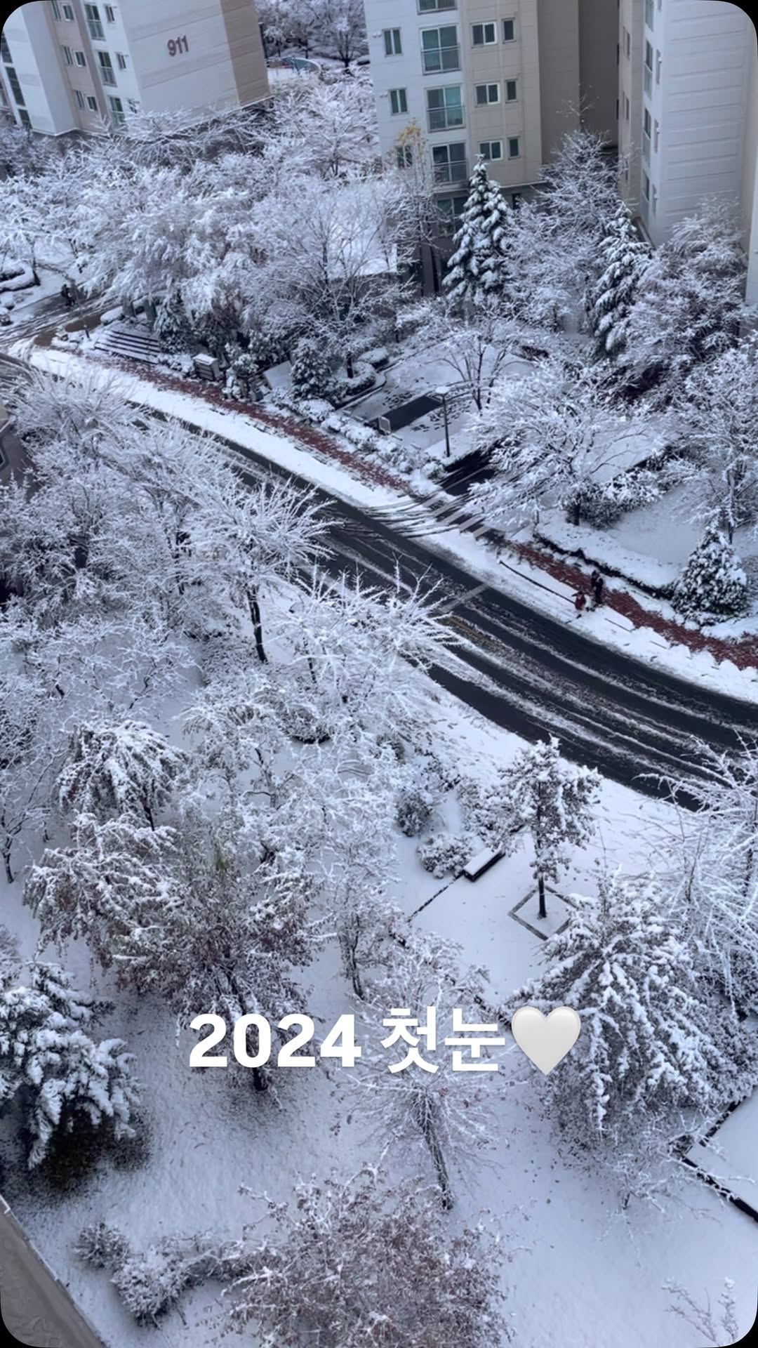 :
2024 첫눈_🧸☃️

너무 예쁘다🤍