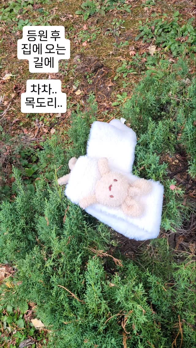 ♡아니..차차 목도리가.왜..ㅋㅋ