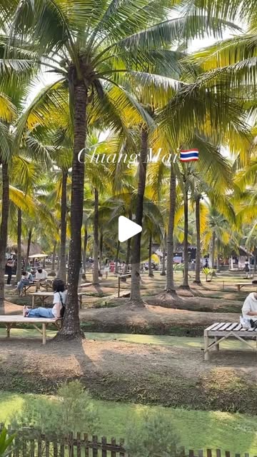 제일 좋았던 코코넛마켓🌴💚
.

🛒 Ba Pao Flea Market 

▫️94 Soi Ban Tong 2 Mu 3, Fa Ham, Mueang Chiang Mai District, Chiang Mai 50000 태국

⏰ 토,일 8:00 ~ 16:00

-
#치앙마이#아기랑치앙마이 
#아기랑갈만한곳#육아소통 
#아기랑해외여행 🛫