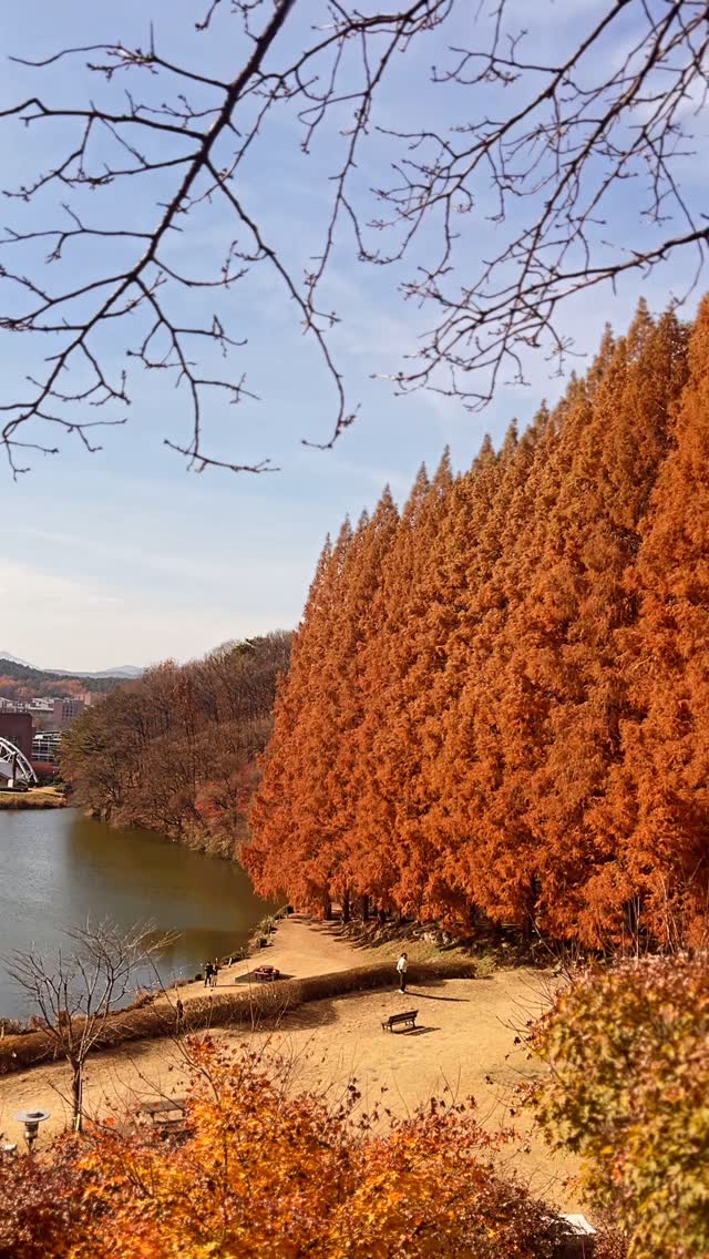 #가을 #단풍 
외국에 온것 같은 느낌.
멀리갈필요 없네 내년에도 단풍구경은 여기로