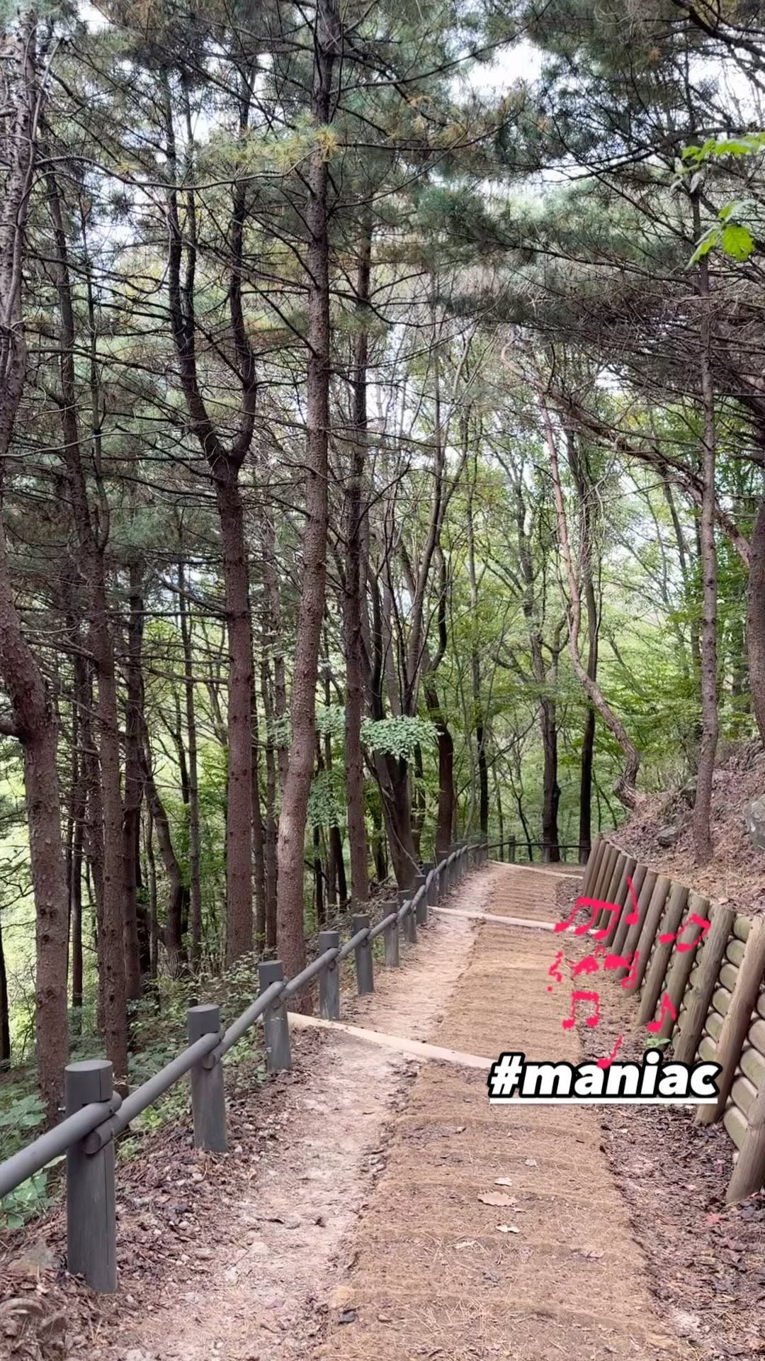 #maniac #music #mountain #walk #recharge 

다시 둘레길 가다