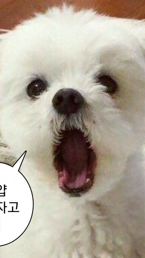 11월의 일기
.
.
.
.
.
한참지나야 끝일줄 알았던 오늘이 오게 되었네요.
짧지만 기억 한켠에 작게 저를 담을 수 있어서 좋았습니다.
촬영은 계속될거지만
저는 오늘을 마지막으로 인사를😭😭...
챙겨주신 모든 분들께 감사를...❤️

#드라마촬영 #스태프