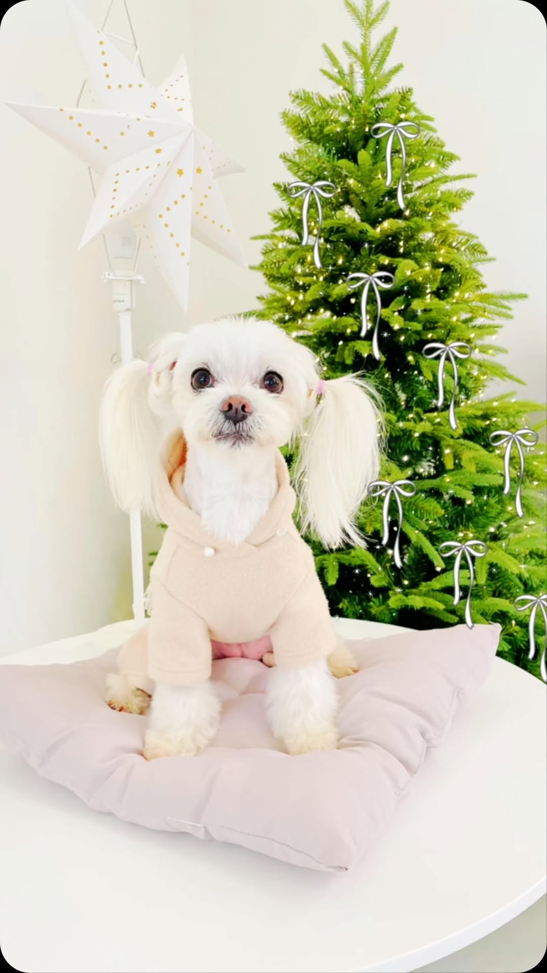 따뜻한 겨울🎄 두부야 바빠서미얀~🫶🏻