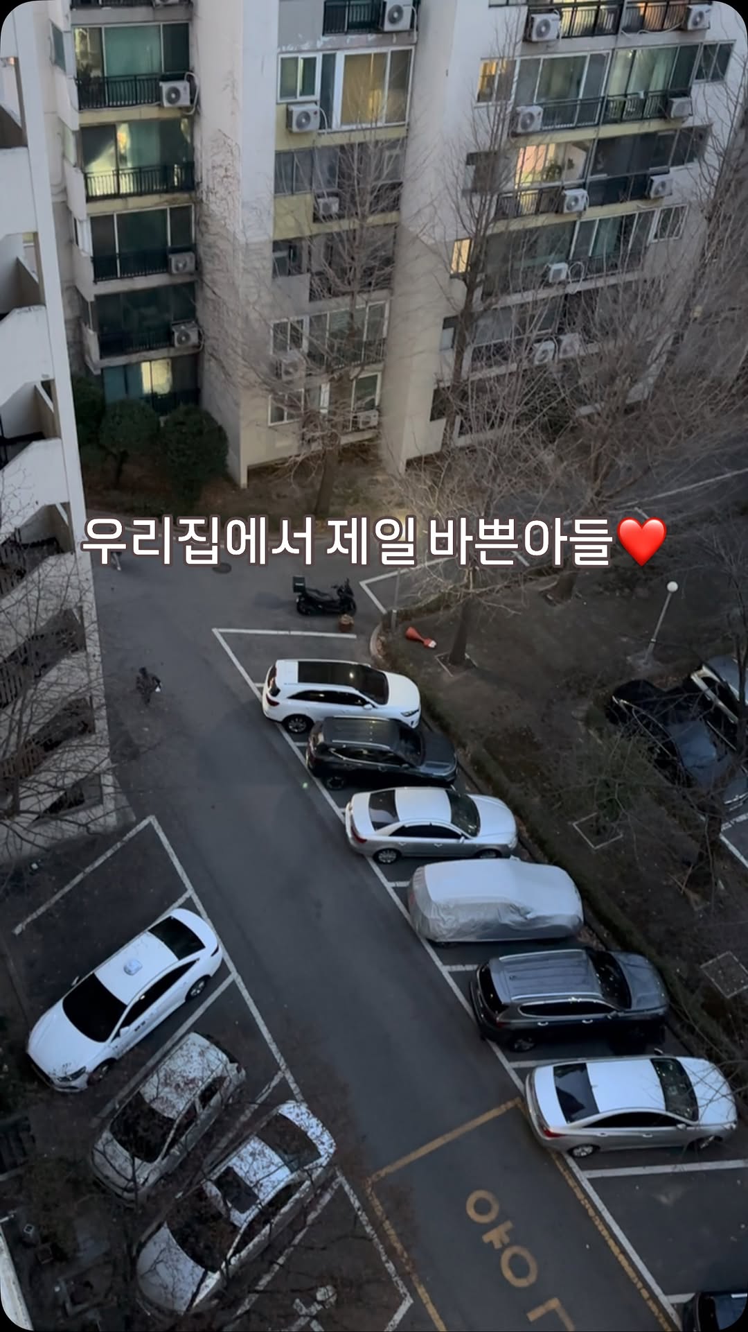ㅋㅋㅋ위에는 왜 쳐다보고 가는거야❤️
귀여워죽것네🤪🤪

#우리집에서제일바쁨 ❤️
#힘내아들