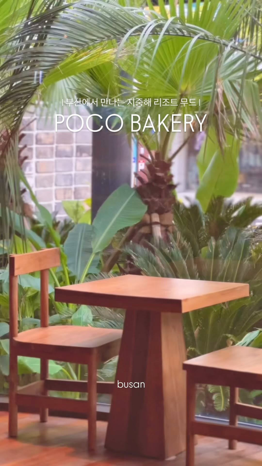 POCO BAKERY🥙

#베이커리카페 인데 리조트에서 즐기는 듯한 분위기를
느낄 수 있던 곳🌴

#쉬림프아보카도샌드위치 완전 #취저

#포코베이커리#포코베이커리카페#광안리포코베이커리
#광안리브런치#광안리브런치카페#광안리베이커리#광안리카페
#부산광안리#광안리카페추천#광안리브런치추천
#부산브런치#브런치카페