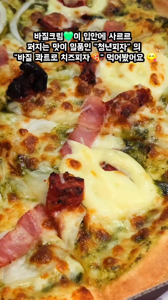 #협찬 [#청년피자 ] #바질콰트로치즈피자
산뜻 향긋한 바질🌱과 담백달콤한 치즈🧀가 청년피자👦와 만났다구요⁉️
@y_manpizza

바질크림💚이 주는 고급진 비주얼과 산뜻하고 향긋함이 입안에 사르르 퍼지는 맛이 일품인 #청년피자 의 #바질콰트로치즈피자 먹어봤어요😋

각양 각색의 매력을 가진 4가지 치즈💛가 주는 부드럽고 리치한 달콤함! 과 바질🌿의 향긋함🤩
이 조합은 맛없없인거 모두 아시죠‼️✨️

#바질 을 정말 좋아해 직접 키워서 따 먹기까지 하는 #먹베스터 ,,,🤣
이번 청년피자 의 #신메뉴 #바질콰트로치즈피자 를 먹어봤을 때 완전 대❕️만❕️족❕️이에요🤤🫶
바질향을 가득 머금고 있으며 부드럽고 은은하게 달달한 치즈까지 함께 즐길 수 있으니 정말 맛있더라구요!!🌟

#고메밀크도우 를 사용하여 원래부터 도우가 맛있기로 유명한 #청년피자 인데, 고급진 토핑들까지 함께하니 이건 한 입👄 베어물면 입 안에 고급스러움의 파티 그 자체예요🥳🎉

도우가 맛있으니 식어도 전자레인지 살짝만 돌리면 바로 퐁신퐁신한 도우가 살아나더라구요👍🏻😻
혼밥러들, 자취생들도 걱정 노노〰️🙅‍♂️🙅‍♀️👏

따뜻한 피자를 먹으며 연말에 사랑하는 사람들과 풍족한 하루하루를 보내는 상상을 하기만 해도 정말 행복하지 않나요❓️😍
올 겨울엔 청년피자👦🍕 와 함께 따뜻하게 보내보자구요🤍

산뜻하고 향긋한 바질 숲🎄을 느껴볼 수 있는 청년피자의 #바질콰트로치즈피자 여러분도 함께 즐겨요♥️

✅️제품링크 : https://baeminkr.onelink.me/XgL8/bbfc7b5d

#청년피자 #고메밀크도우 #피자 #피자맛집 #피자추천 #야식추천 #먹스타그램 #음식 #피자소개 #맛있는피자 #바질피자 #바질콰트로치즈피자 #청년피자신메뉴