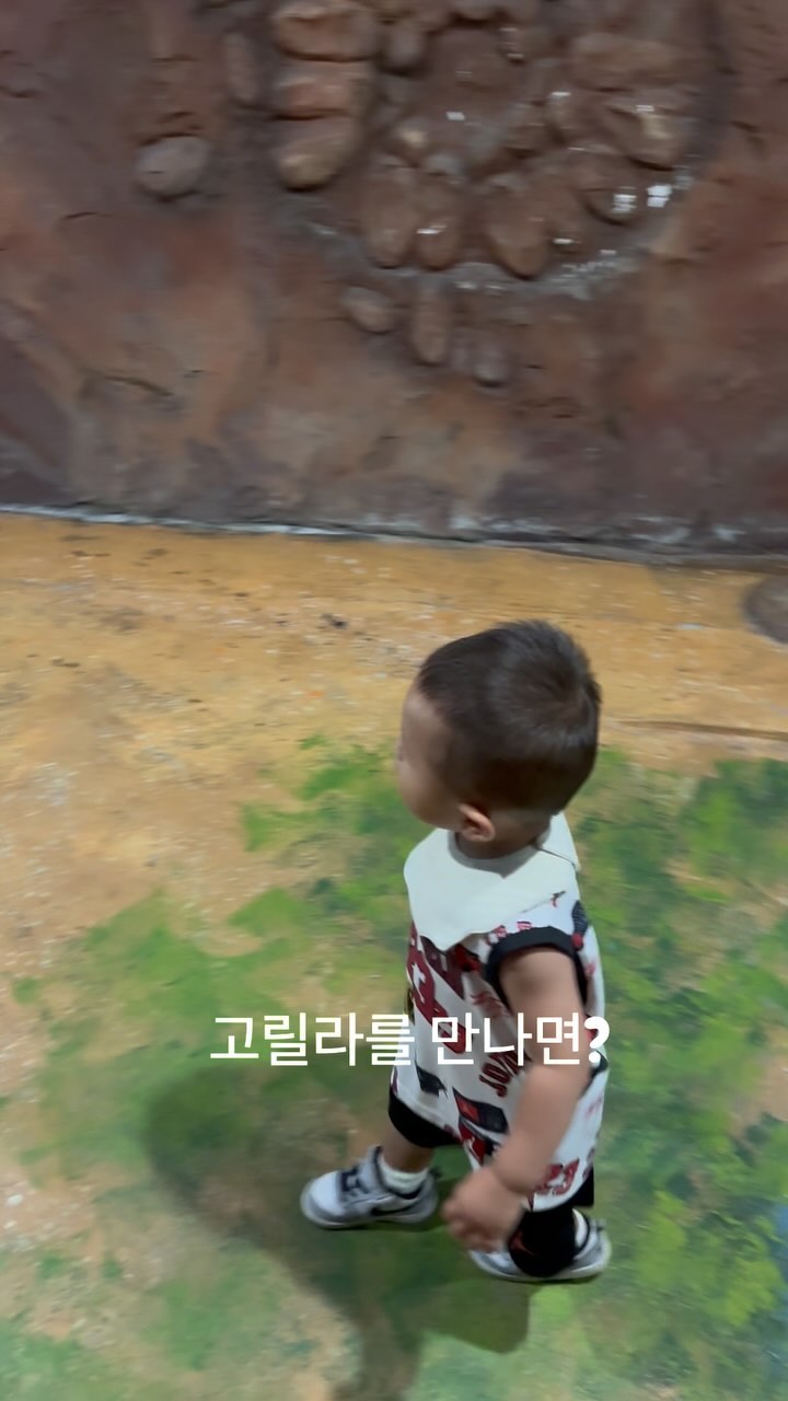챠니챠니병챠니😍😍

#고릴라를만나면 #뒷걸음질 #귀요미18개월 #사랑스런셋째 #부천아쿠아리움 #연간회원권뽕뽑자